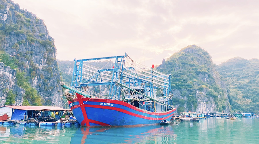 Làng Chài Cái Bèo có gì hấp dẫn du khách?